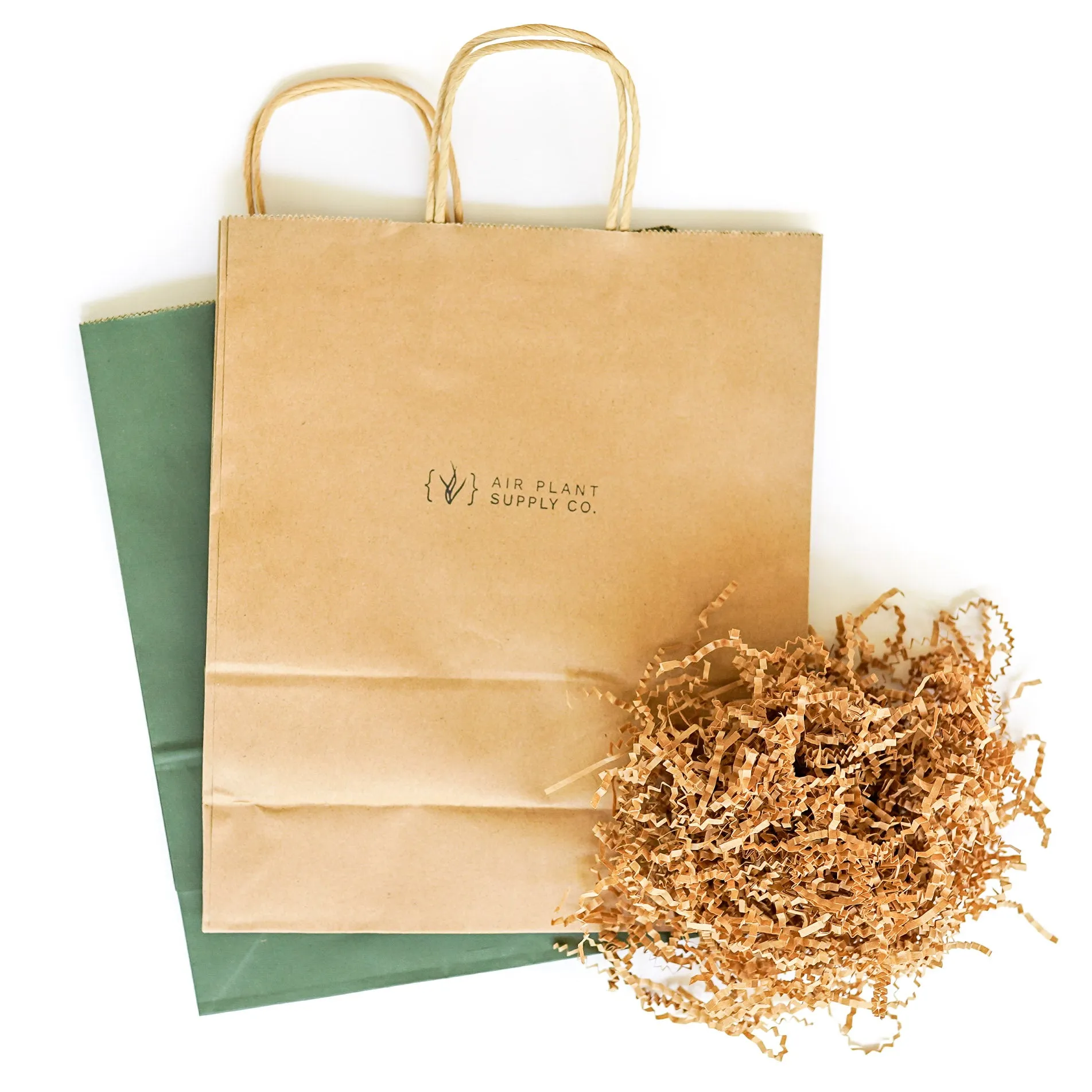Gift Wrapped Air Plant Grab Bag of 10 Small & Medium Plants, Tillandsia Fertilizer & Air Plant Mister