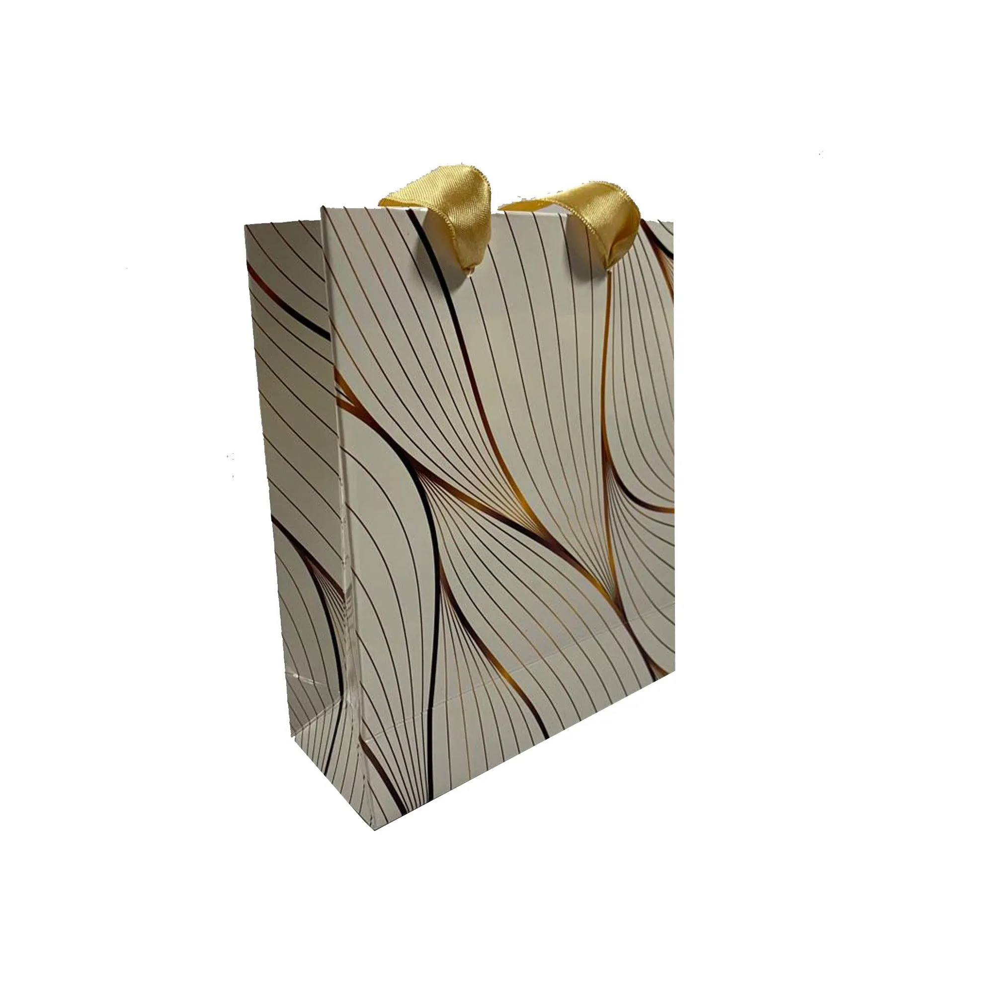 Gloss Laminated Ribbon Handle Paper Bags