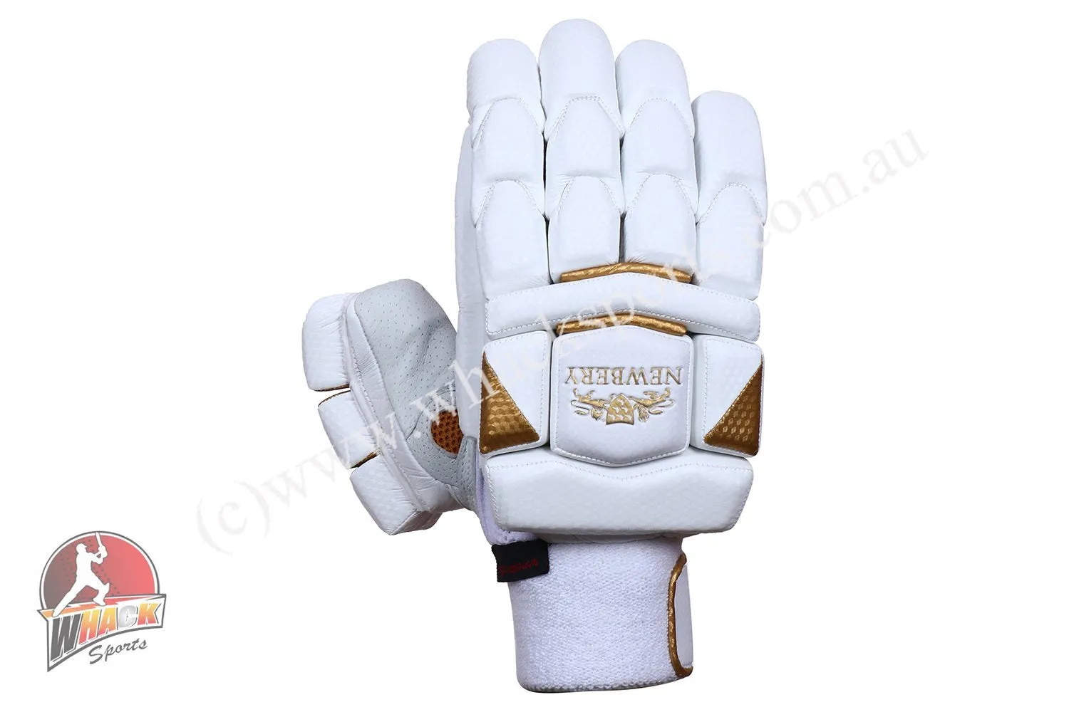 Newbery Legacy Cricket Batting Gloves - Boys/Junior