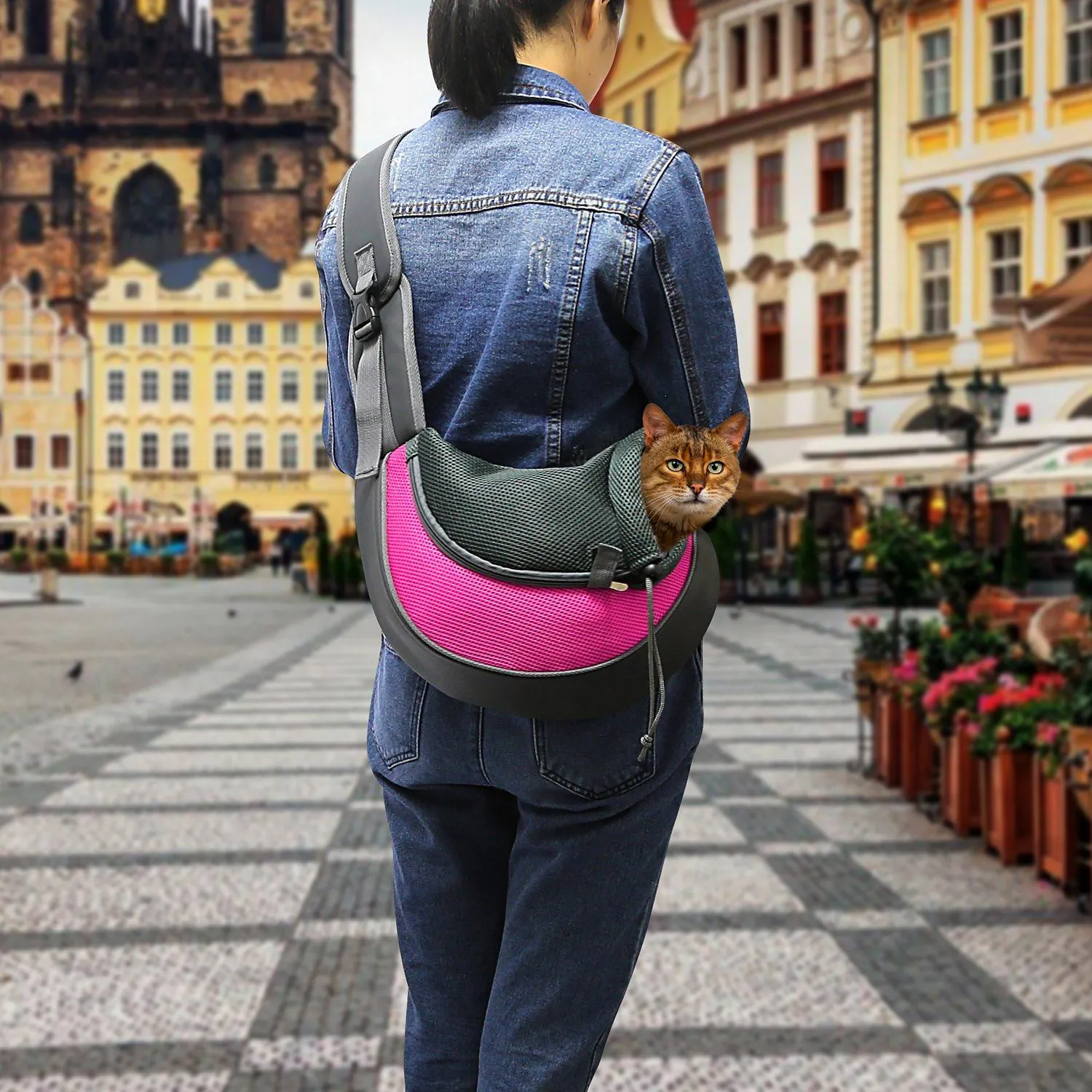 Pet Puppy Carrier