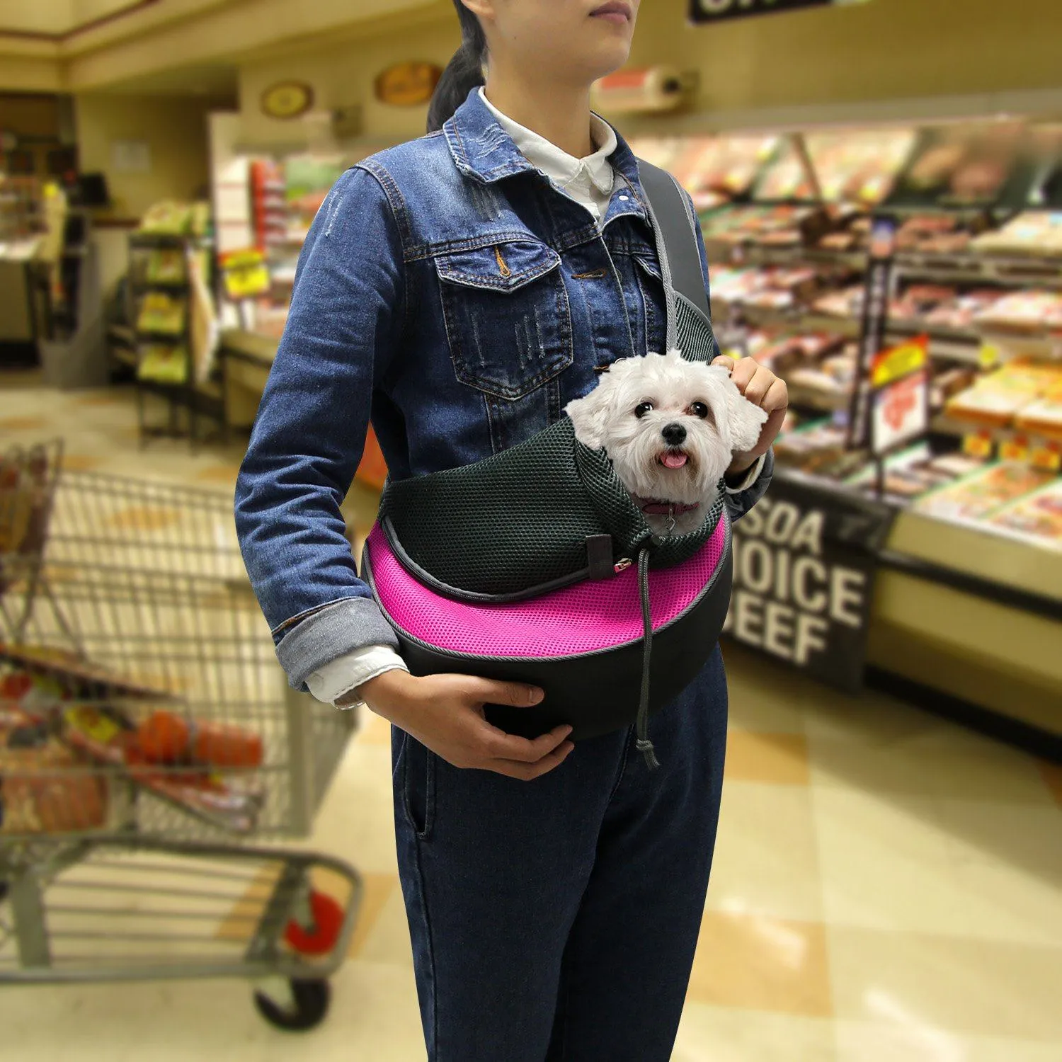 Pet Puppy Carrier