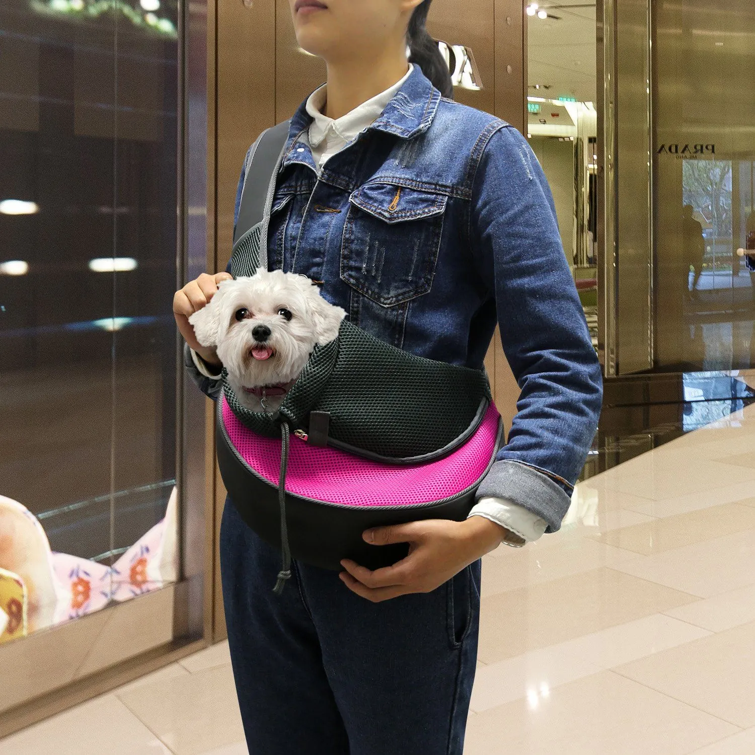 Pet Puppy Carrier