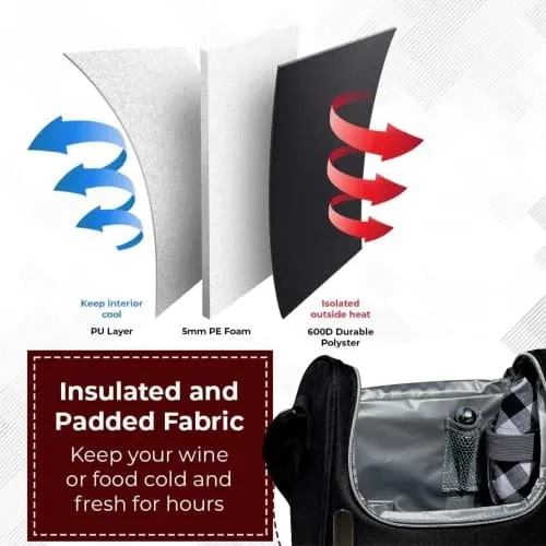 Plush Picnic Premium Wine Bag, Insulated 2 Bottle Wine Carrier Tote, Wine and Cheese Cooler Bag, Great Gifts for Wine Lovers (Black)
