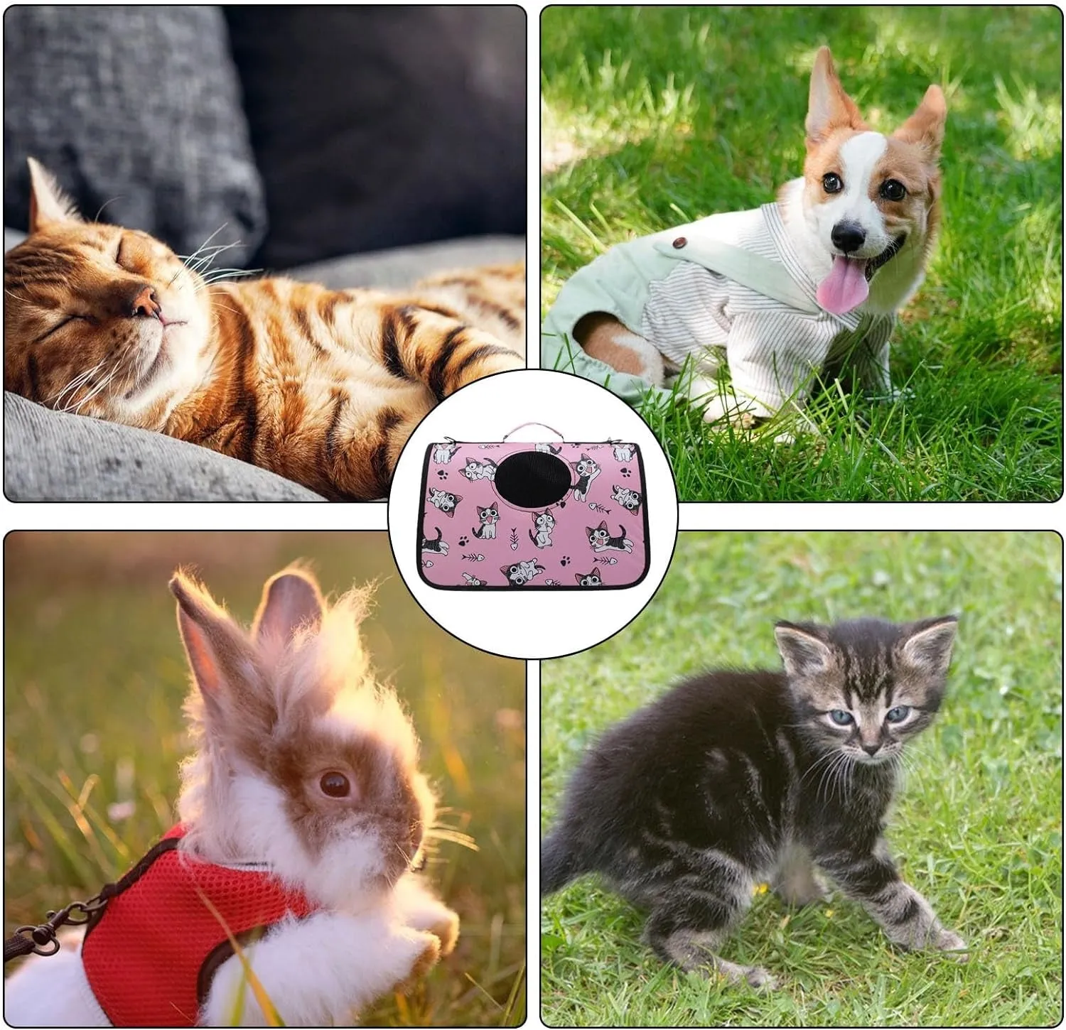 Portable Travel Pet Carrier Bag