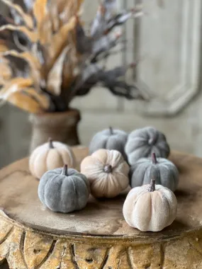 Velveteen Pumpkins | 7 pcs