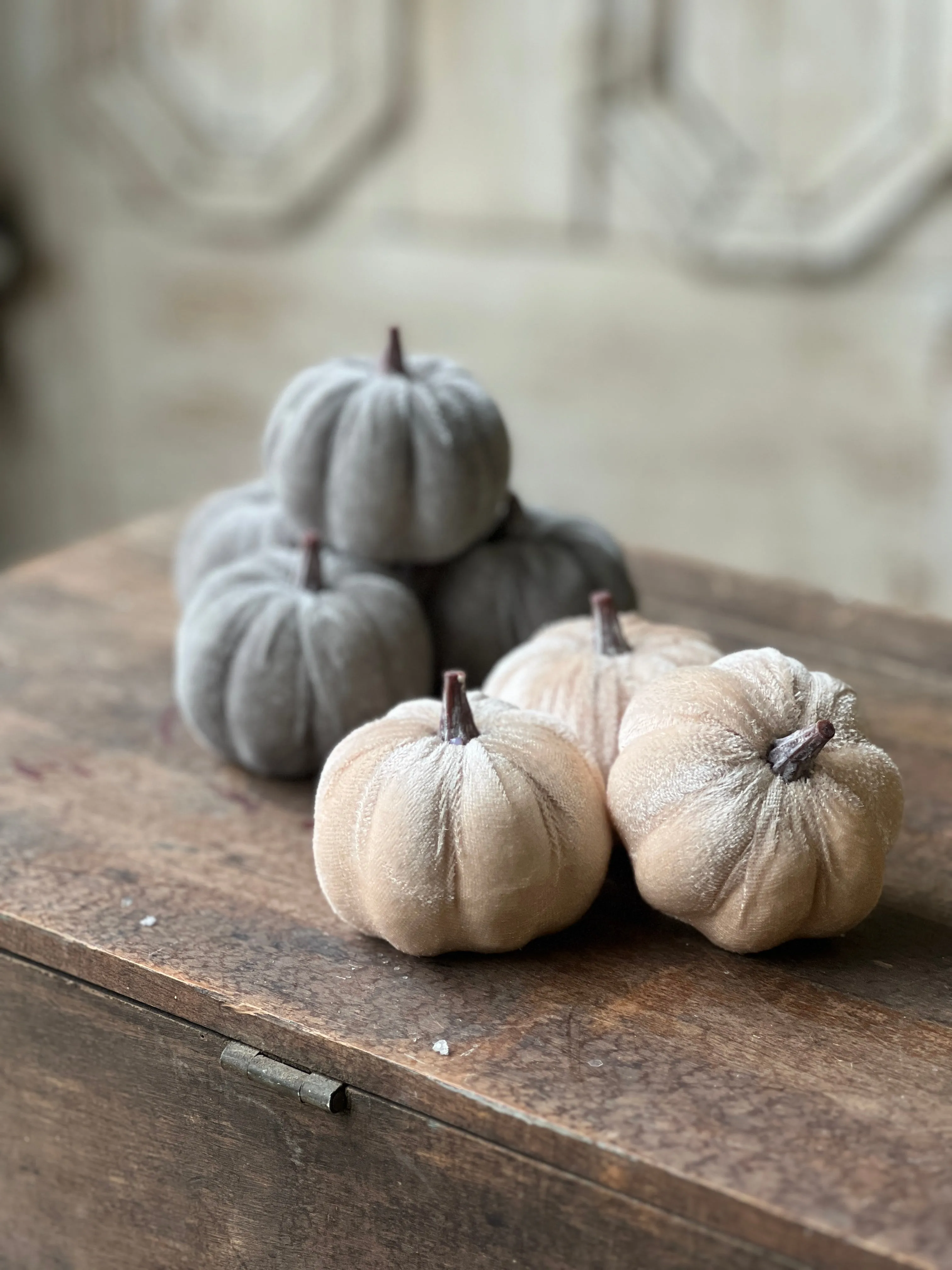 Velveteen Pumpkins | 7 pcs