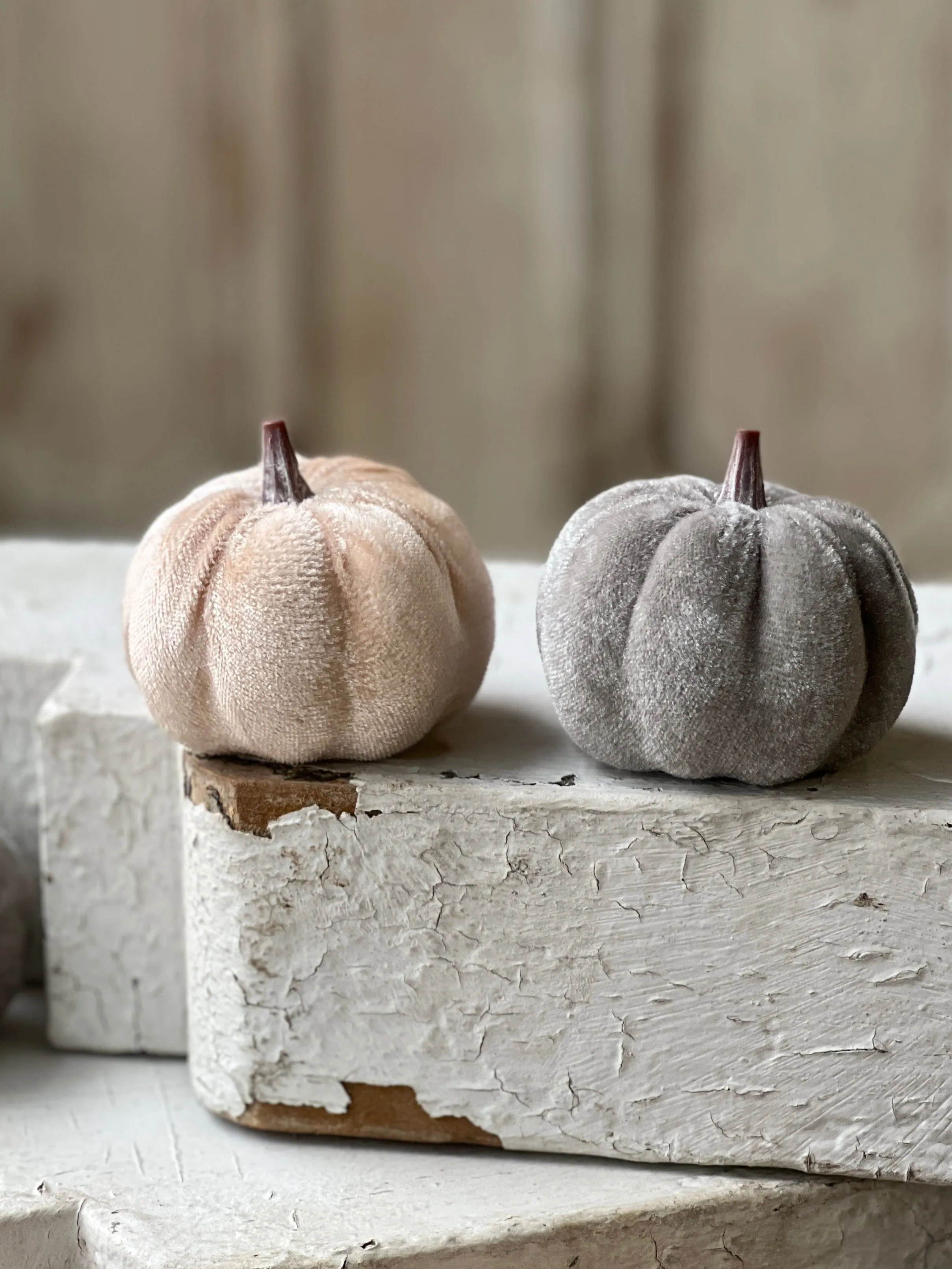 Velveteen Pumpkins | 7 pcs