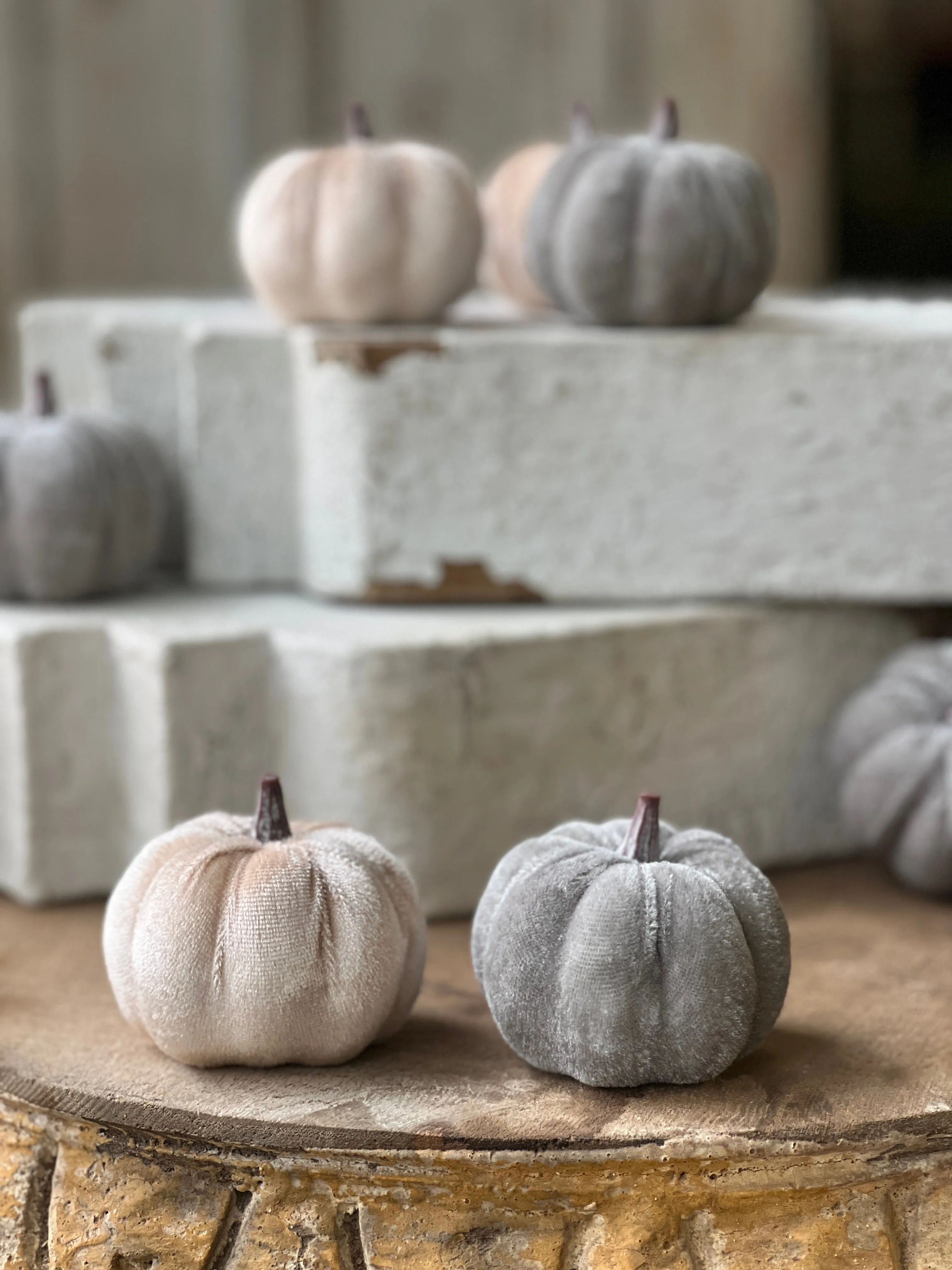 Velveteen Pumpkins | 7 pcs