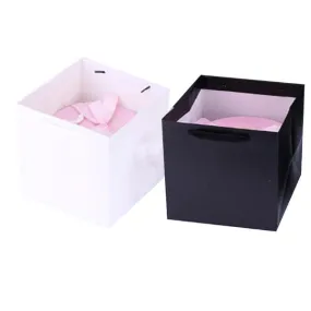 White Or Black Gift Bag - 30cm x 30cm x 30cm